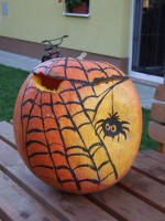 /album/halloween/dscf5717-jpg/